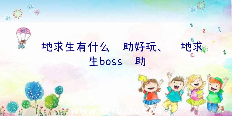 绝地求生有什么辅助好玩、绝地求生boss辅助