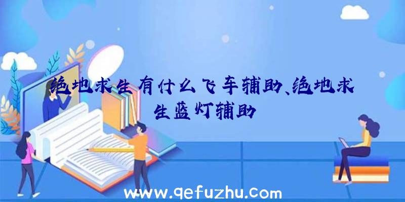 绝地求生有什么飞车辅助、绝地求生蓝灯辅助