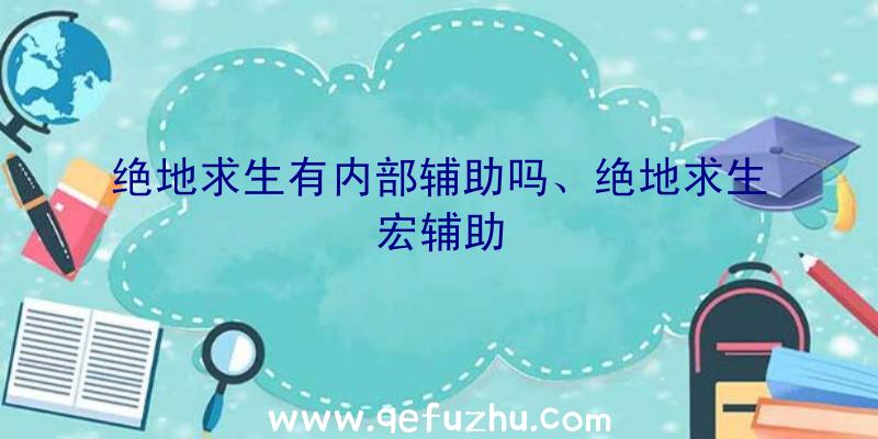 绝地求生有内部辅助吗、绝地求生宏辅助