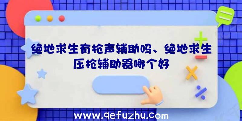 绝地求生有枪声辅助吗、绝地求生压枪辅助器哪个好