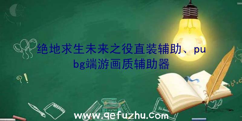 绝地求生未来之役直装辅助、pubg端游画质辅助器