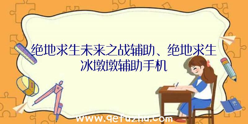 绝地求生未来之战辅助、绝地求生冰墩墩辅助手机