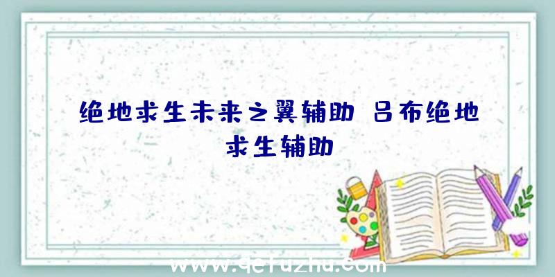 绝地求生未来之翼辅助、吕布绝地求生辅助