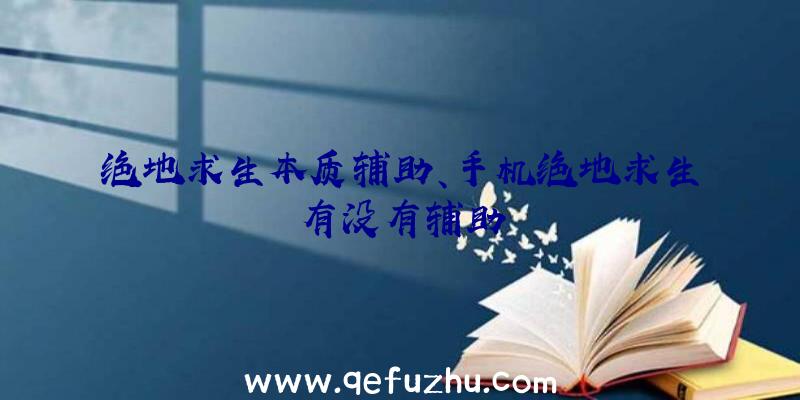 绝地求生本质辅助、手机绝地求生有没有辅助