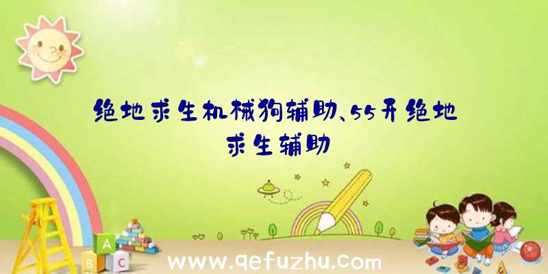 绝地求生机械狗辅助、55开绝地求生辅助