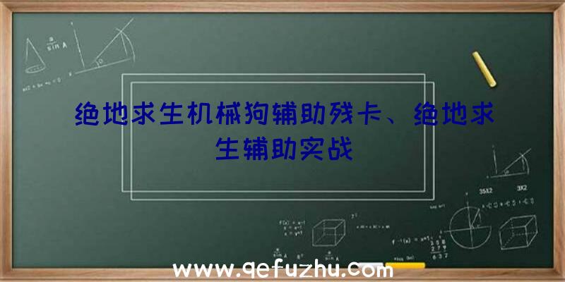 绝地求生机械狗辅助残卡、绝地求生辅助实战