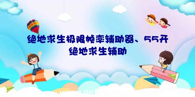 绝地求生极限帧率辅助器、55开绝地求生辅助