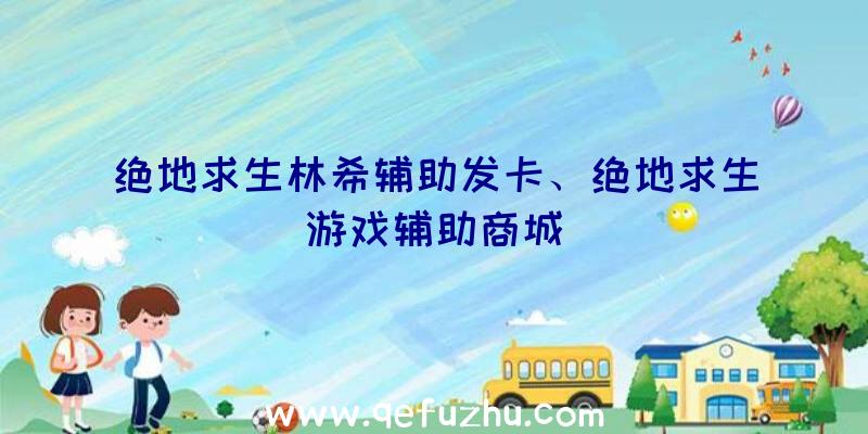 绝地求生林希辅助发卡、绝地求生游戏辅助商城