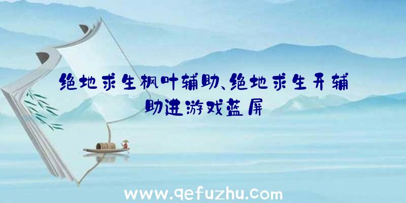 绝地求生枫叶辅助、绝地求生开辅助进游戏蓝屏