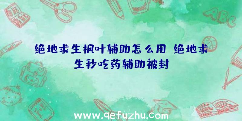 绝地求生枫叶辅助怎么用、绝地求生秒吃药辅助被封