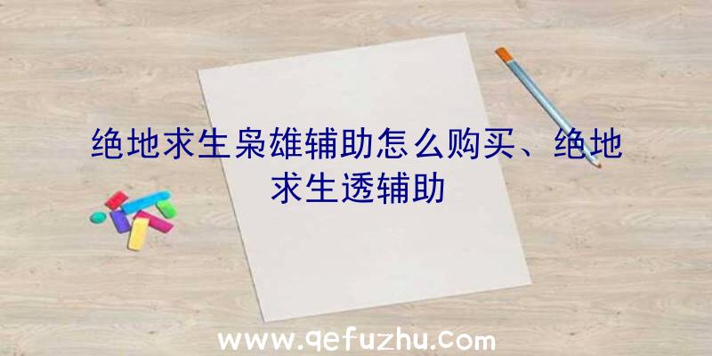 绝地求生枭雄辅助怎么购买、绝地求生透辅助