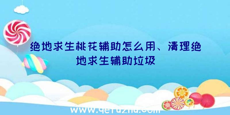 绝地求生桃花辅助怎么用、清理绝地求生辅助垃圾