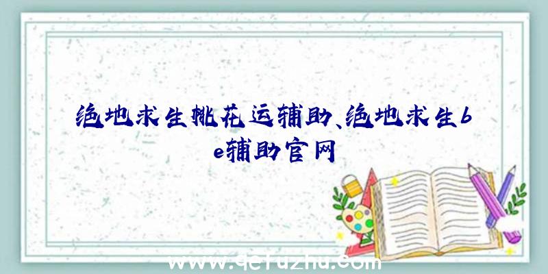 绝地求生桃花运辅助、绝地求生be辅助官网