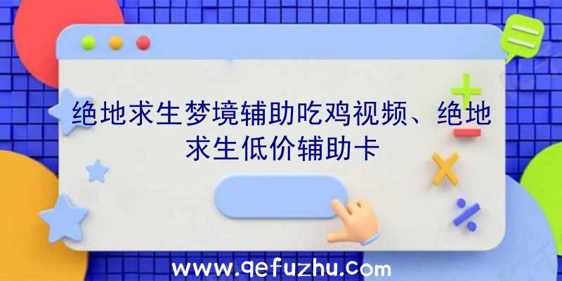 绝地求生梦境辅助吃鸡视频、绝地求生低价辅助卡