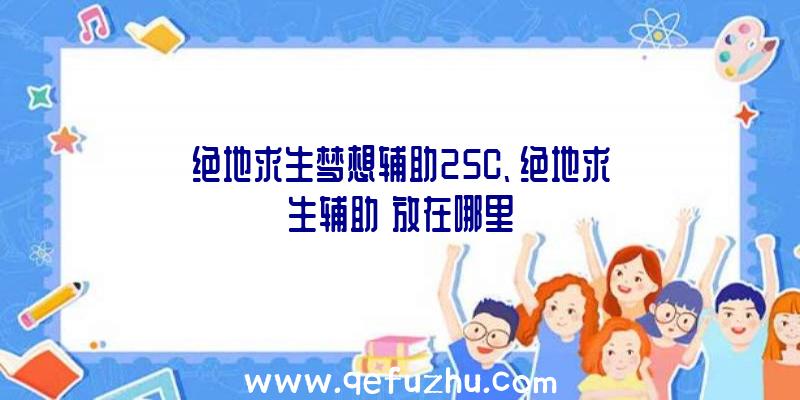 绝地求生梦想辅助25C、绝地求生辅助