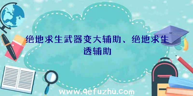 绝地求生武器变大辅助、绝地求生透辅助