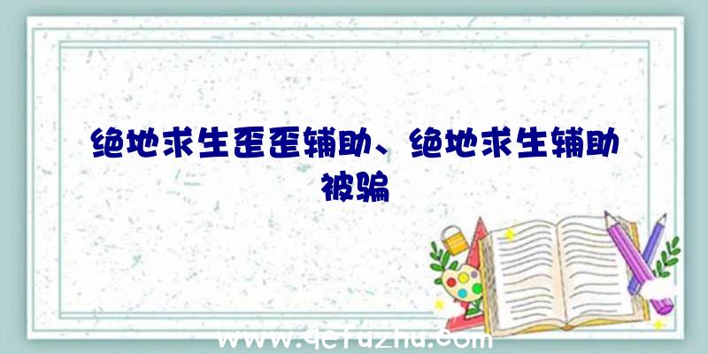 绝地求生歪歪辅助、绝地求生辅助被骗