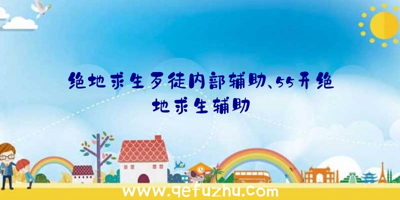 绝地求生歹徒内部辅助、55开绝地求生辅助