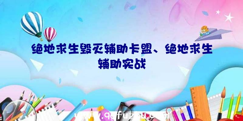 绝地求生毁灭辅助卡盟、绝地求生辅助实战