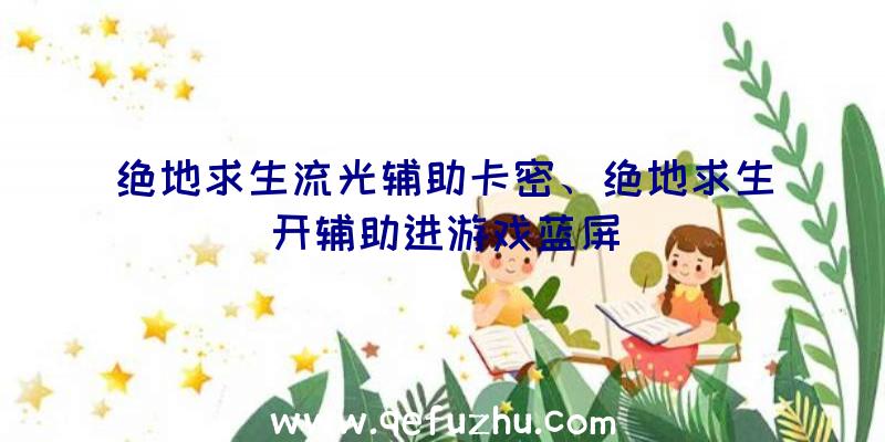 绝地求生流光辅助卡密、绝地求生开辅助进游戏蓝屏