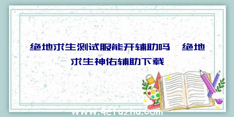 绝地求生测试服能开辅助吗、绝地求生神佑辅助下载