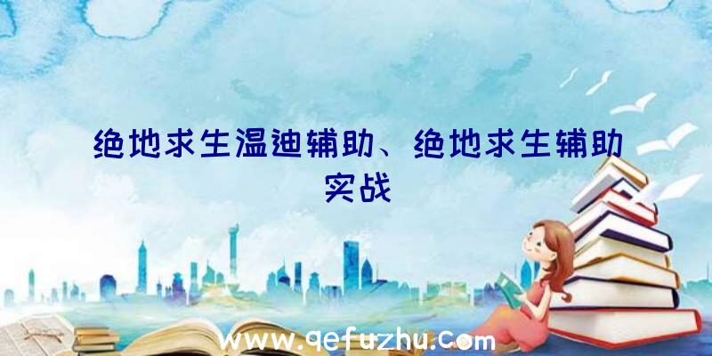 绝地求生温迪辅助、绝地求生辅助实战