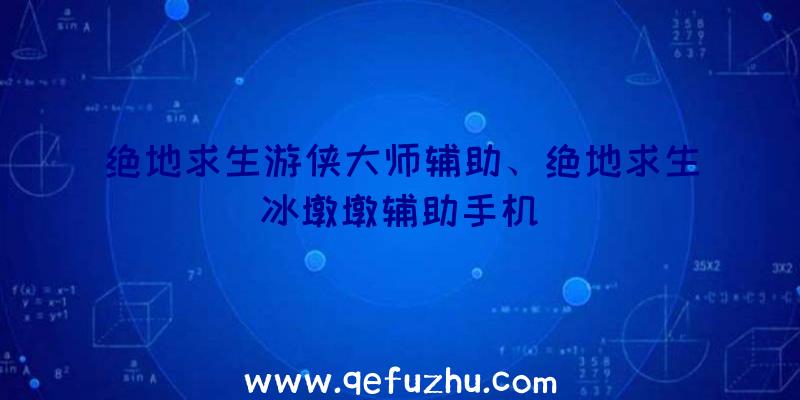 绝地求生游侠大师辅助、绝地求生冰墩墩辅助手机