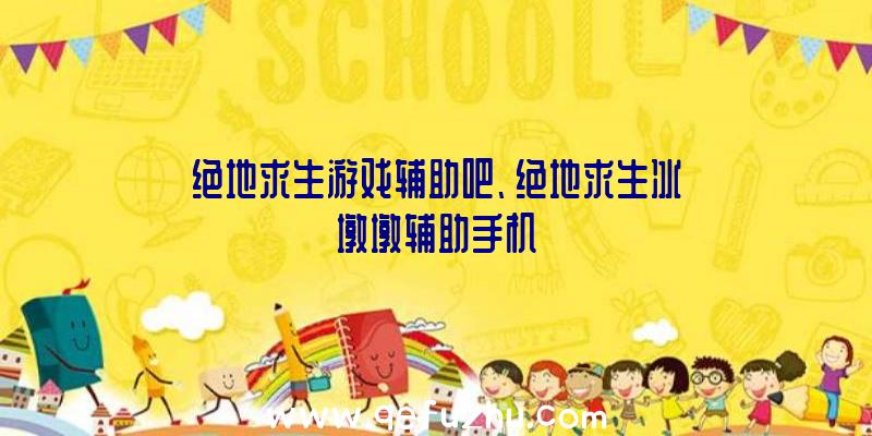 绝地求生游戏辅助吧、绝地求生冰墩墩辅助手机