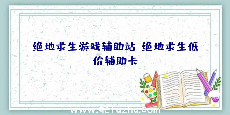 绝地求生游戏辅助站、绝地求生低价辅助卡