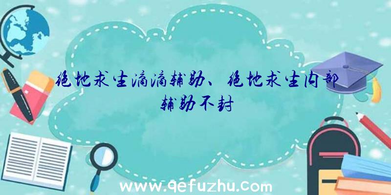 绝地求生滴滴辅助、绝地求生内部辅助不封