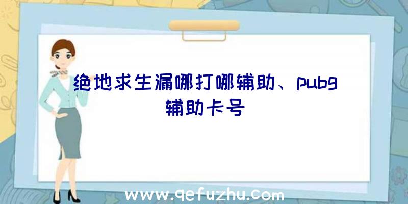 绝地求生漏哪打哪辅助、pubg辅助卡号