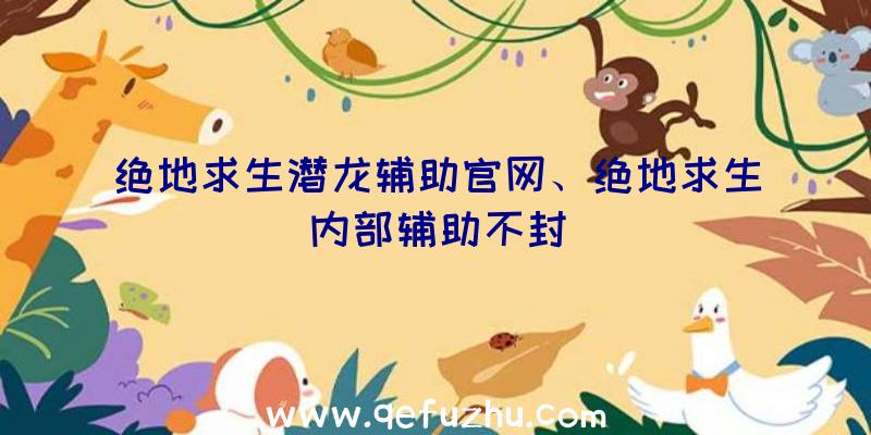 绝地求生潜龙辅助官网、绝地求生内部辅助不封