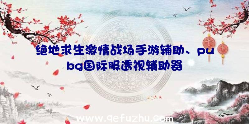 绝地求生激情战场手游辅助、pubg国际服透视辅助器