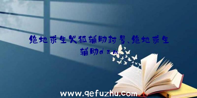 绝地求生火狐辅助封号、绝地求生辅助dzm