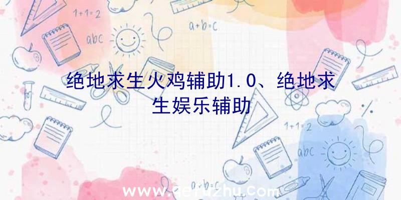 绝地求生火鸡辅助1.0、绝地求生娱乐辅助