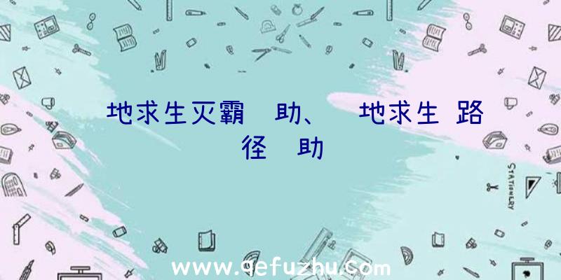 绝地求生灭霸辅助、绝地求生