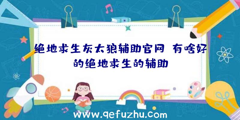 绝地求生灰太狼辅助官网、有啥好的绝地求生的辅助