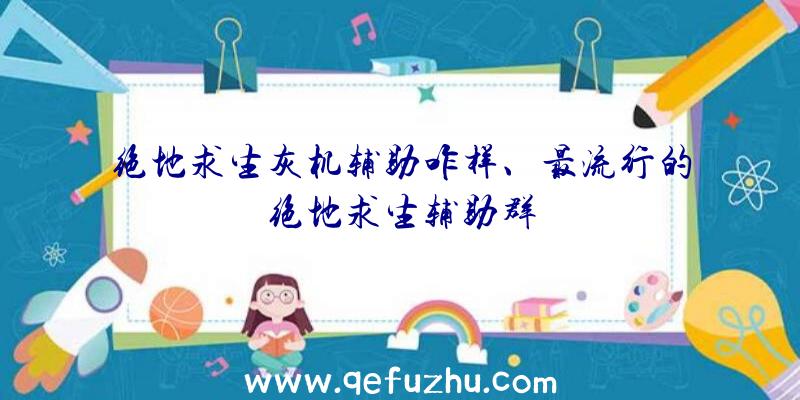 绝地求生灰机辅助咋样、最流行的绝地求生辅助群