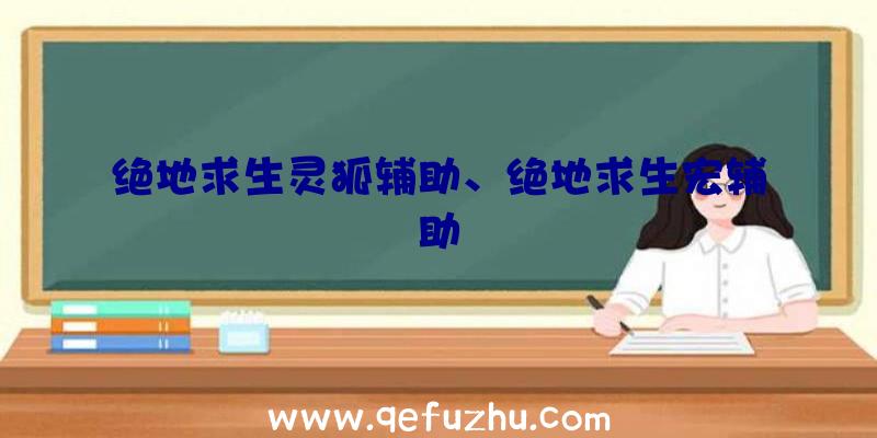 绝地求生灵狐辅助、绝地求生宏辅助