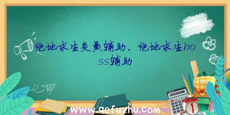 绝地求生炎黄辅助、绝地求生boss辅助