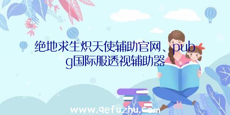 绝地求生炽天使辅助官网、pubg国际服透视辅助器