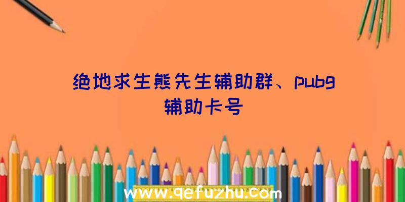 绝地求生熊先生辅助群、pubg辅助卡号