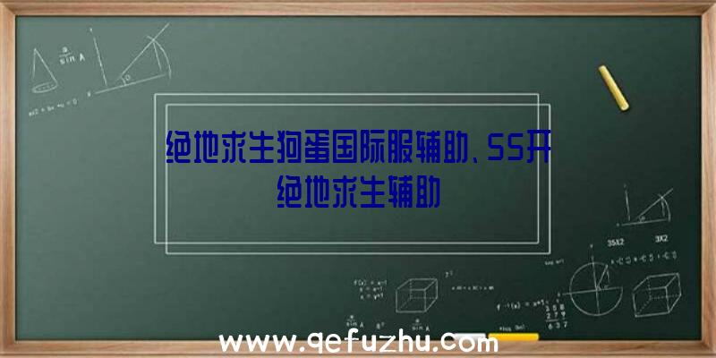 绝地求生狗蛋国际服辅助、55开绝地求生辅助