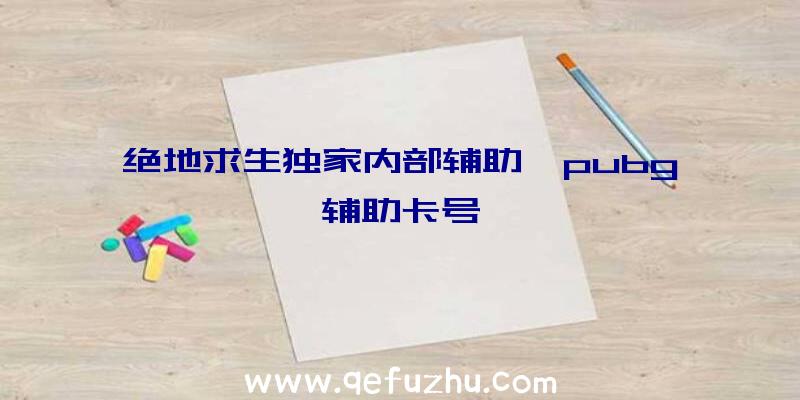 绝地求生独家内部辅助、pubg辅助卡号