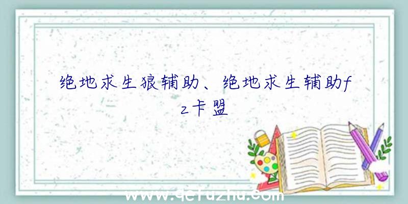 绝地求生狼辅助、绝地求生辅助fz卡盟