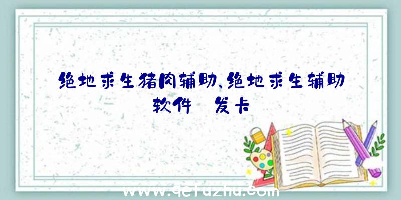 绝地求生猪肉辅助、绝地求生辅助软件