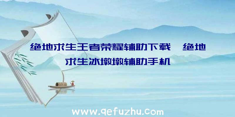 绝地求生王者荣耀辅助下载、绝地求生冰墩墩辅助手机