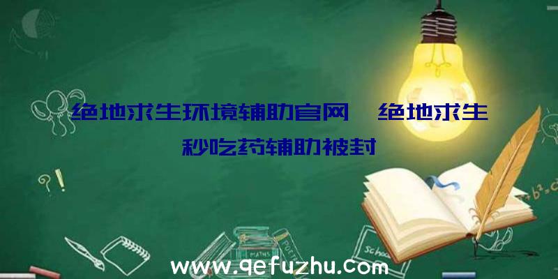 绝地求生环境辅助官网、绝地求生秒吃药辅助被封