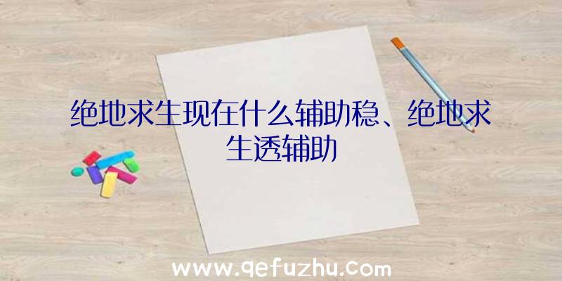 绝地求生现在什么辅助稳、绝地求生透辅助