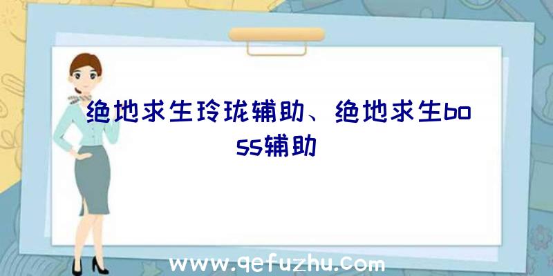 绝地求生玲珑辅助、绝地求生boss辅助